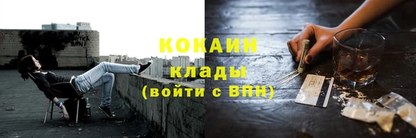 гидра Богданович