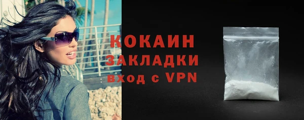гидра Богданович