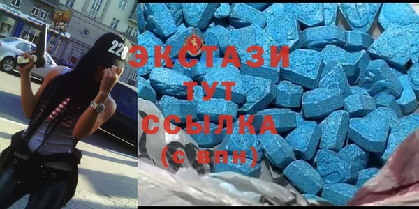 гидра Богданович