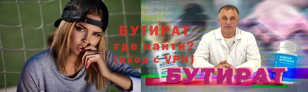 сатива Бородино