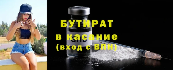 сатива Бородино