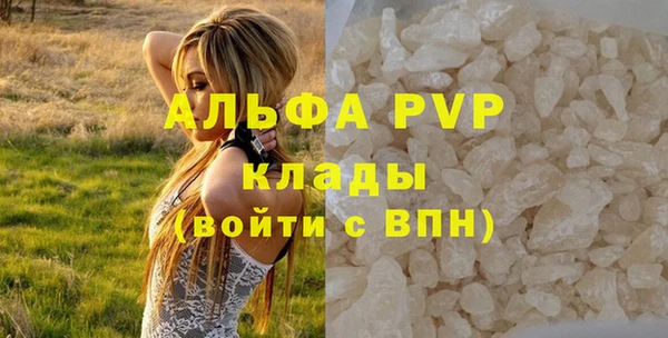 гидра Богданович