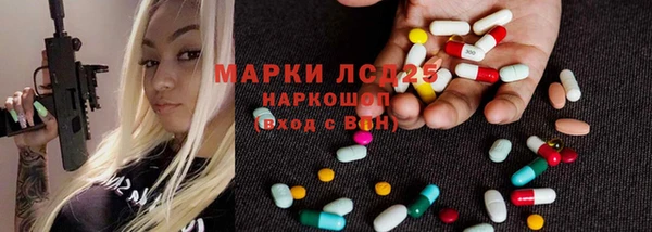 гидра Богданович