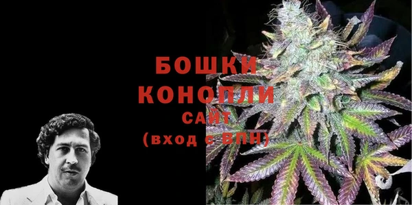 сатива Бородино