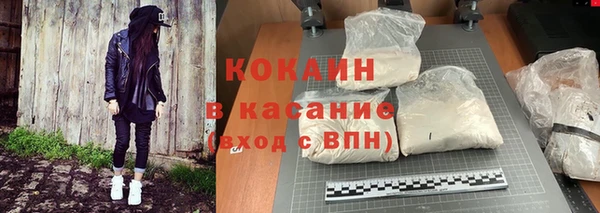 гидра Богданович