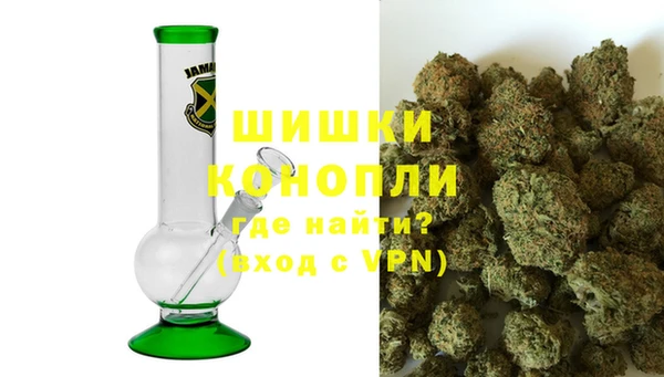сатива Бородино
