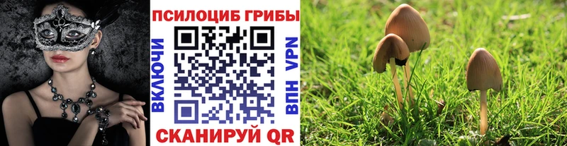 Псилоцибиновые грибы ЛСД  Верхний Уфалей 