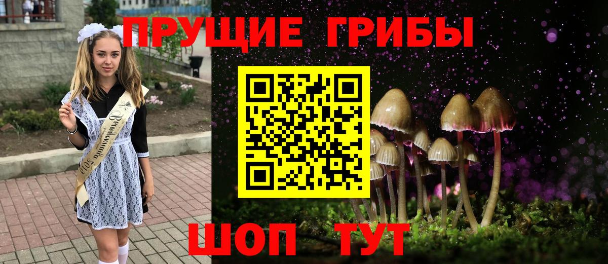 Верхний Уфалей  Галлюциногенные грибы Psilocybe  где купить наркоту  Вход с VPN 