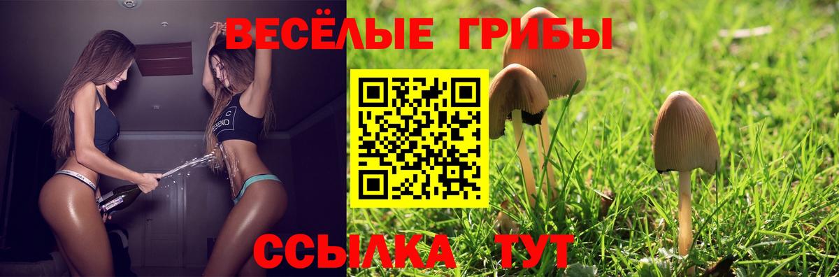 Галлюциногенные грибы Psilocybe Верхний Уфалей